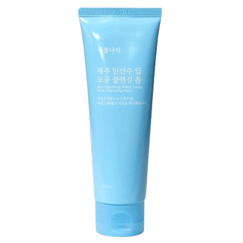 식물나라 제주 탄산수 딥 모공 클렌징 폼 120ml, 2개