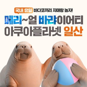 한화아쿠아플라넷 [일산] 아쿠아플라넷 입장권(10/1~10/31)