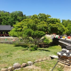국내 연합상품 경주시내여행 불영사 영덕가볼만한곳 포항해맞이공원