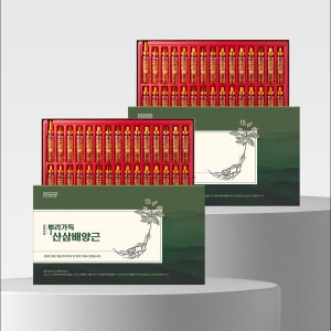 천년보감 산삼배양근 진액 엑기스 농축액 추출액