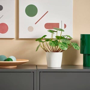 이케아 페이카 인조식물 실내외겸용 물통이속 24cm 부케 장미 조화