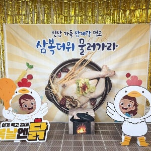 복날엔 닭 파티세트 01 / 삼복더위 현수막 말복 중복 초복 행사 판넬 포토존 장식 용품