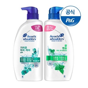 헤드앤숄더 [P&G] 헤드앤숄더 샴푸/트리트먼트 850ml,800ml 2개