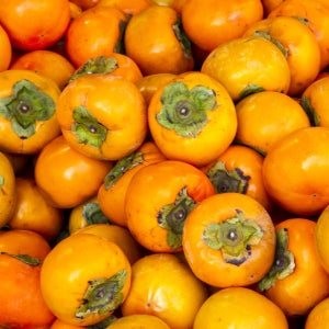 단맛 제대로 오른 GAP 창원 부유단감 3kg