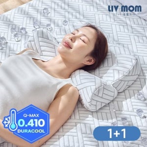 리브맘 메모리폼 아이스쿨링 냉감 바른자세 경추베개 1+1