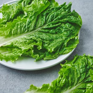 친환경 청상추 (80G/봉)