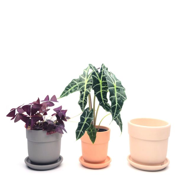 삼성물산 포레어 스마트가든월