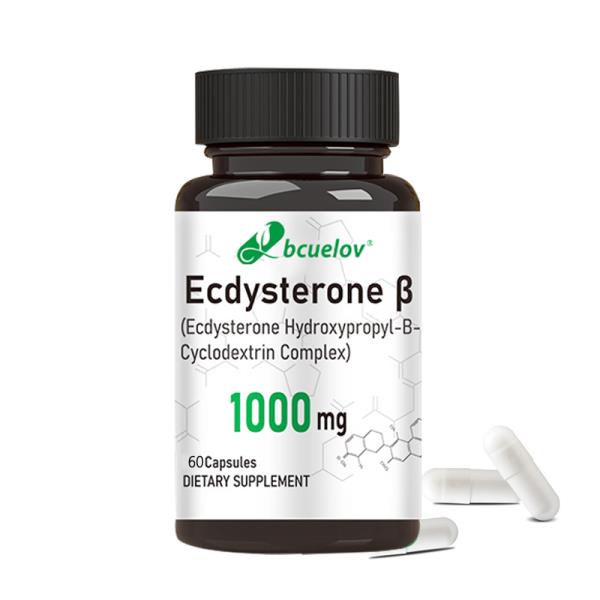 <b>에디스</b>테론 캡슐 - 신진대사를 지원하고 근육 형성 <b>지방</b> 연소 및 남성 건강 강화에 도움