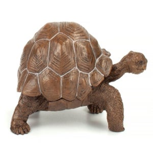 아기 갈라파고스 거북 리얼 피규어 장난감 완구 조카선물 두뇌향상