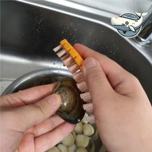 세척용 조리도구 손질 브러쉬 전복 아채 더러움 야채솔 야채수세미 감자