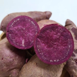 영양 가득 GAP 인증 여주 자색 고구마 2kg(20-30개)