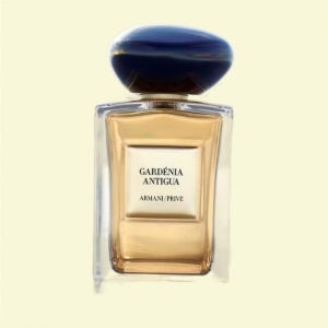 아르마니 뷰티 [프리베] 가드니아 안티구아 오 드 뜨왈렛 100ml