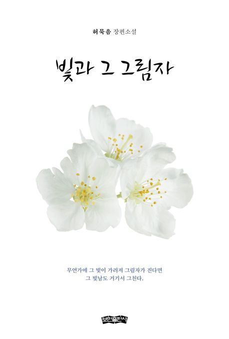 빛과 그 그림자 허묵음 장편소설