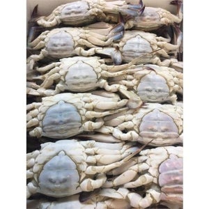 [게파는언니] 연평도 냉동 제철 꽃게 급냉 암꽃게 5kg