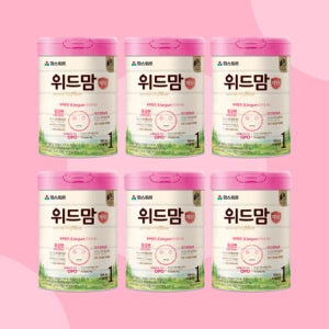 파스퇴르 위드맘 제왕 1단계 6캔