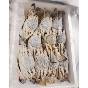 [게파는언니] 연평도 냉동 제철 꽃게 급냉 암꽃게 3kg
