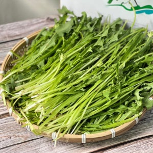 무주의 맑은 공기 속에서 자란 토종 흰꽃민들레 쌈채 1kg