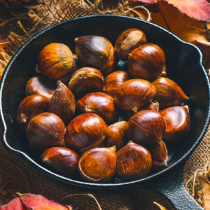 산해직송 칼집X 공주 햇밤 약단밤 생율 생밤 1kg