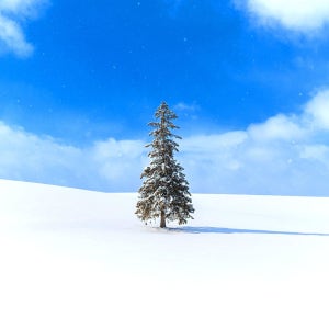 일본 삿포로 비에이 버스투어(하루하루투어)