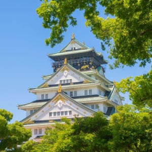 [즉시확정]일본 오사카 주유패스 교통카드