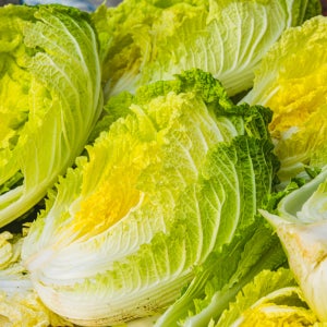 해풍맞고 자란 배추 땅끝 해남 절임 배추 20kg(6-8포기)