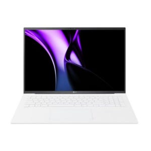 LG전자 그램 17인치 i5 10세대 8GB 256GB 노트북 WIN11