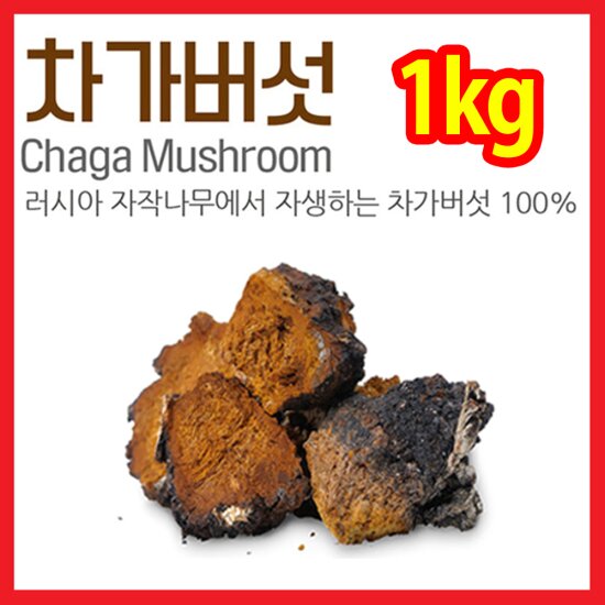 <b>시베리안 차가</b>버섯 원물 <b>차</b> 1kg(500g2팩)
