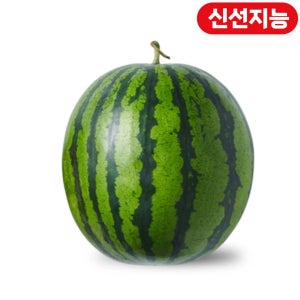 수박 (4-5KG/통)