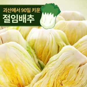 [명가일품] [지정일출고] 90일자란 괴산 절임배추 20kg