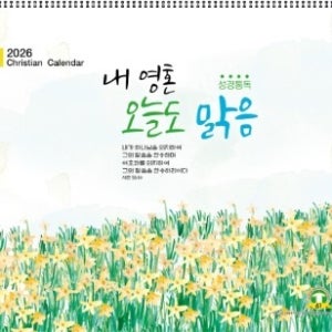 2026년 카렌다 YS-61. 내 영혼 오늘도 맑음