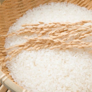 깨끗한 자연이 빚은 영광 신동진 쌀 10kg