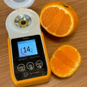 📍재주문100%후기맛집 제주노지감귤🍊[5k/10k], 🍊제주금이농장🍊