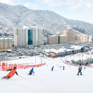 비발디파크 한정특가, 홍천 비발디파크 25/26 시즌패스 (스키시즌권) 특가 프로모션, 스마트or프리미엄 구매혜택