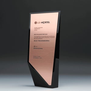 재직기념 창립기념 상패 E1202 판촉물 제작 전문~상패/휘장~상패(크리스탈)