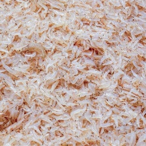 [푸드진정성] 인천 소래포구 김장용 생새우 1kg/급냉 김장새우 동백하