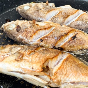 국내산 반건조 통영 볼락 700g(4~8미 18cm내외)