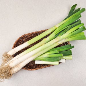 굵고 실한 손질 신안 흙대파 2kg