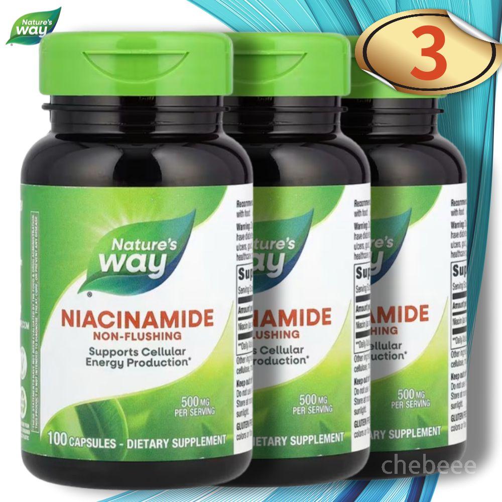 네이쳐스웨이 <b>홍조</b> 없는 나이아신 니아신 아마이드 500mg 100캡슐 3병 Niacin  3개  100정