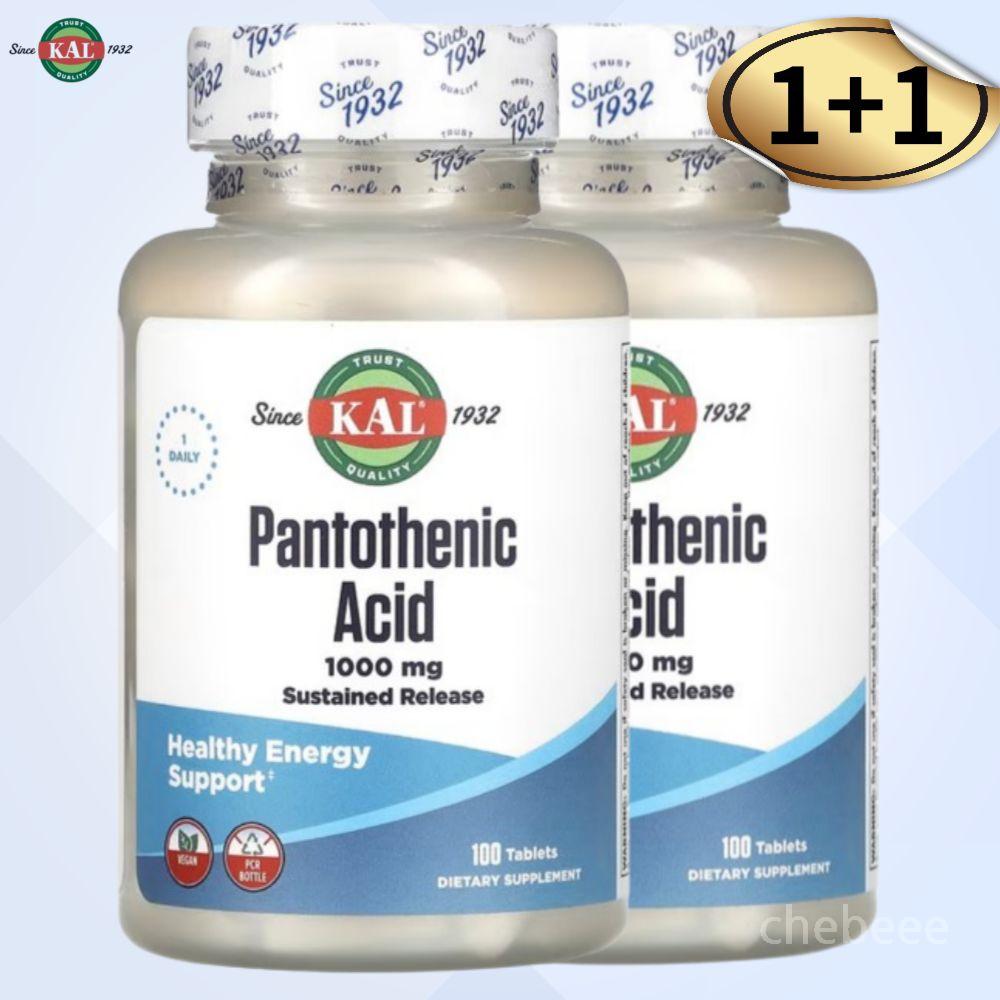 칼 판토텐산 1000mg 서방형 100정 2병 칼슘