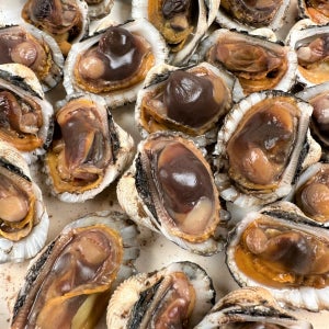 육즙 가득한 원조 벌교 참꼬막 1kg