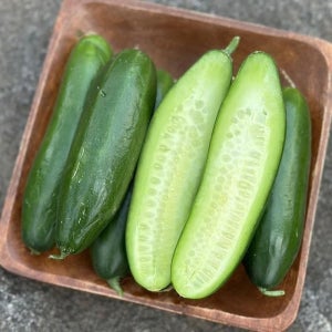 알뜰 국산 미니 오이 1kg 스낵 오이 한박스 꼬마 오이 장아찌 용 오이 오이지 오이 피클 용 오이 군위오이