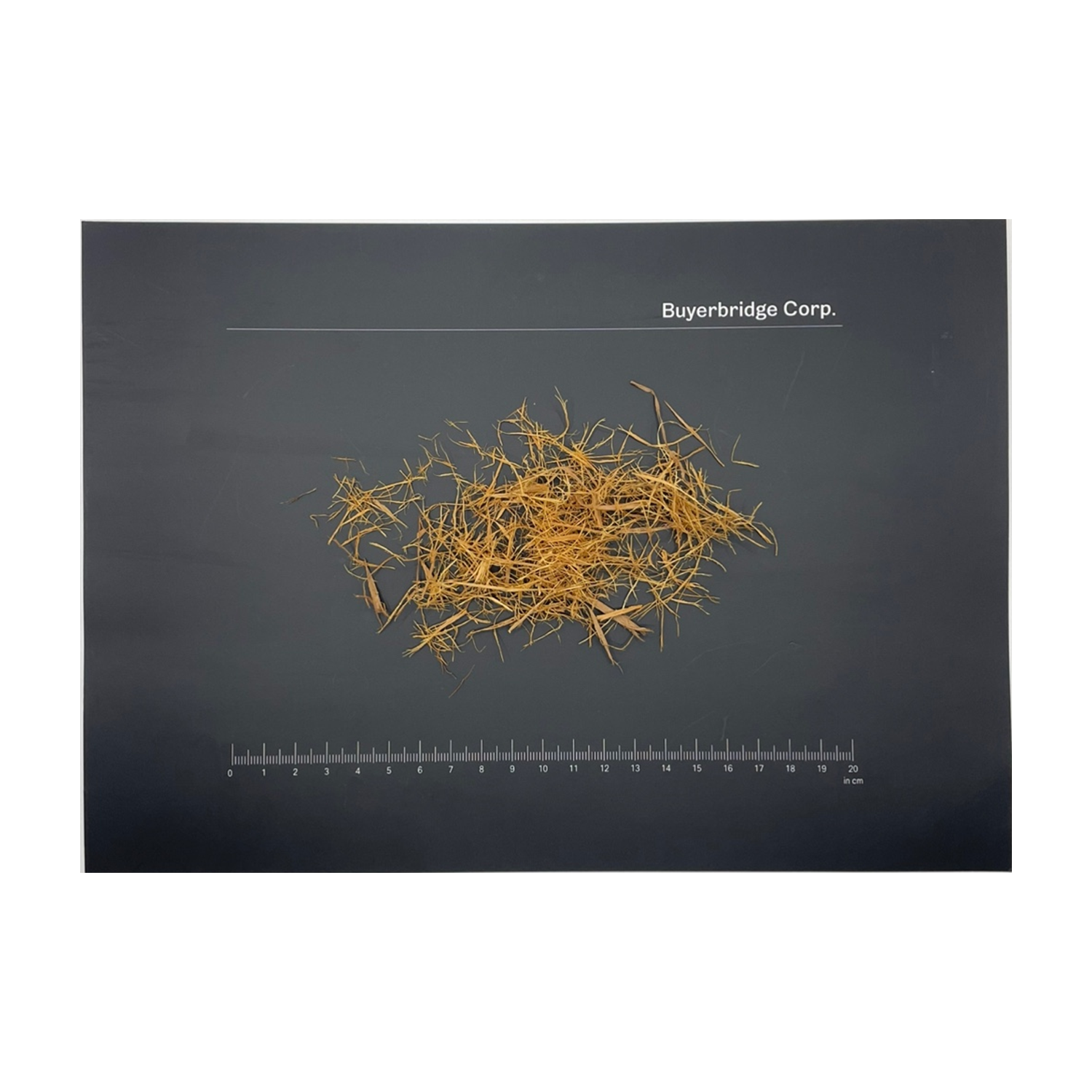 <b>캣츠클로</b> 나무 껍질 고양이 발톱 Cats Claw Uncaria tomentosa  100g