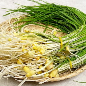 쌉싸래한 내음의 봄나물 달래 2묶음