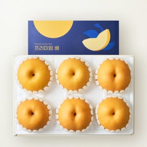 [산지직송] 가을 시즌 한정, 청량한 과즙 가득 나주 추황배 3kg (4-7입)