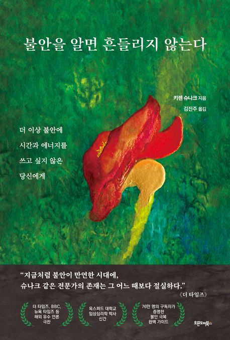 불안을 알면 흔들리지 않는다 더 이상 불안에 시간과 에너지를 쓰고 싶지 않은 당신에게