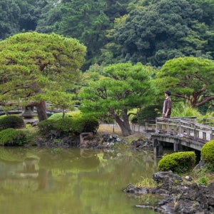 신주쿠 교엔 프라이빗 스냅 촬영 [10월 27일~29일 & 12월 7일~9일]