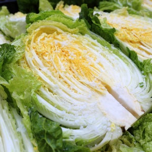 HACCP 인증 강원도 고랭지 절임배추 10kg(3-16포기 내외)