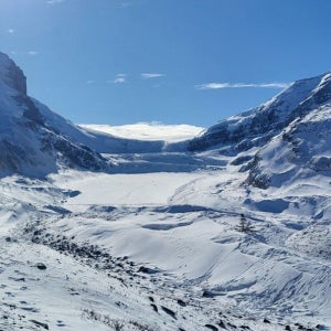 캐나다 밴프, 페이토 + 아이스필드 2박 3일 투어 (모레인 개런티)