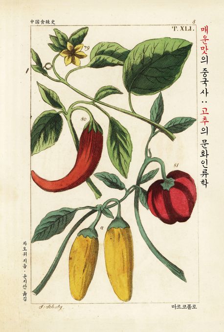 매운맛의 중국사 : 고추의 문화인류학 / 차오위 지음 ; 윤지산 옮김