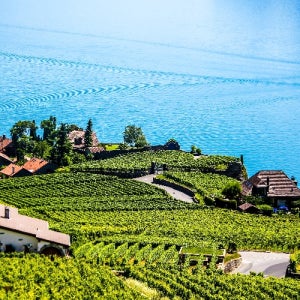 스위스 호수 유럽여행필수코스 9일 산과 스위스여행